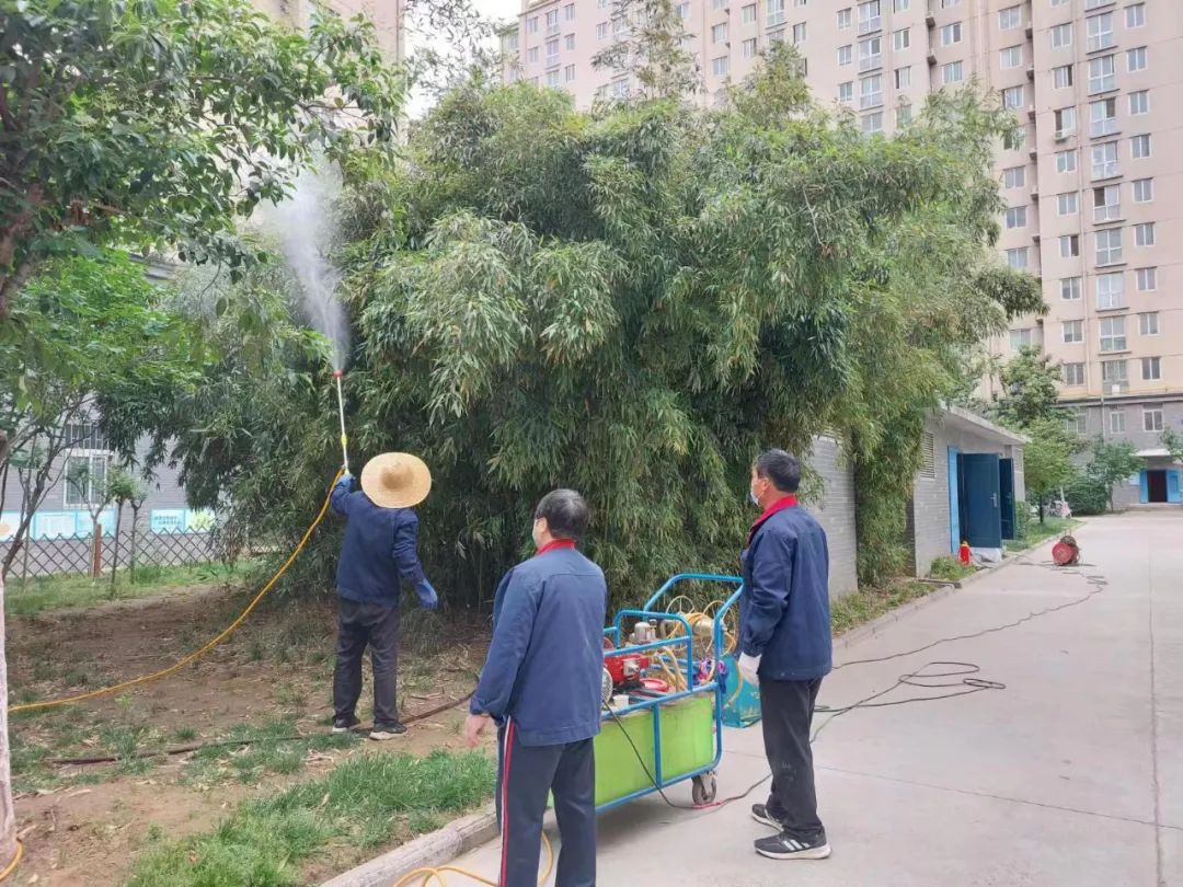 绿化养护4.jpg