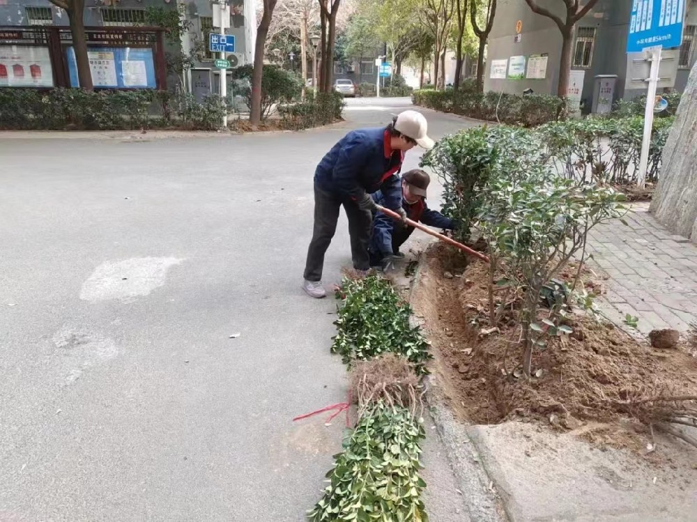 亚太物业 ▏植树节ㅡ“植”此青绿，不负春光